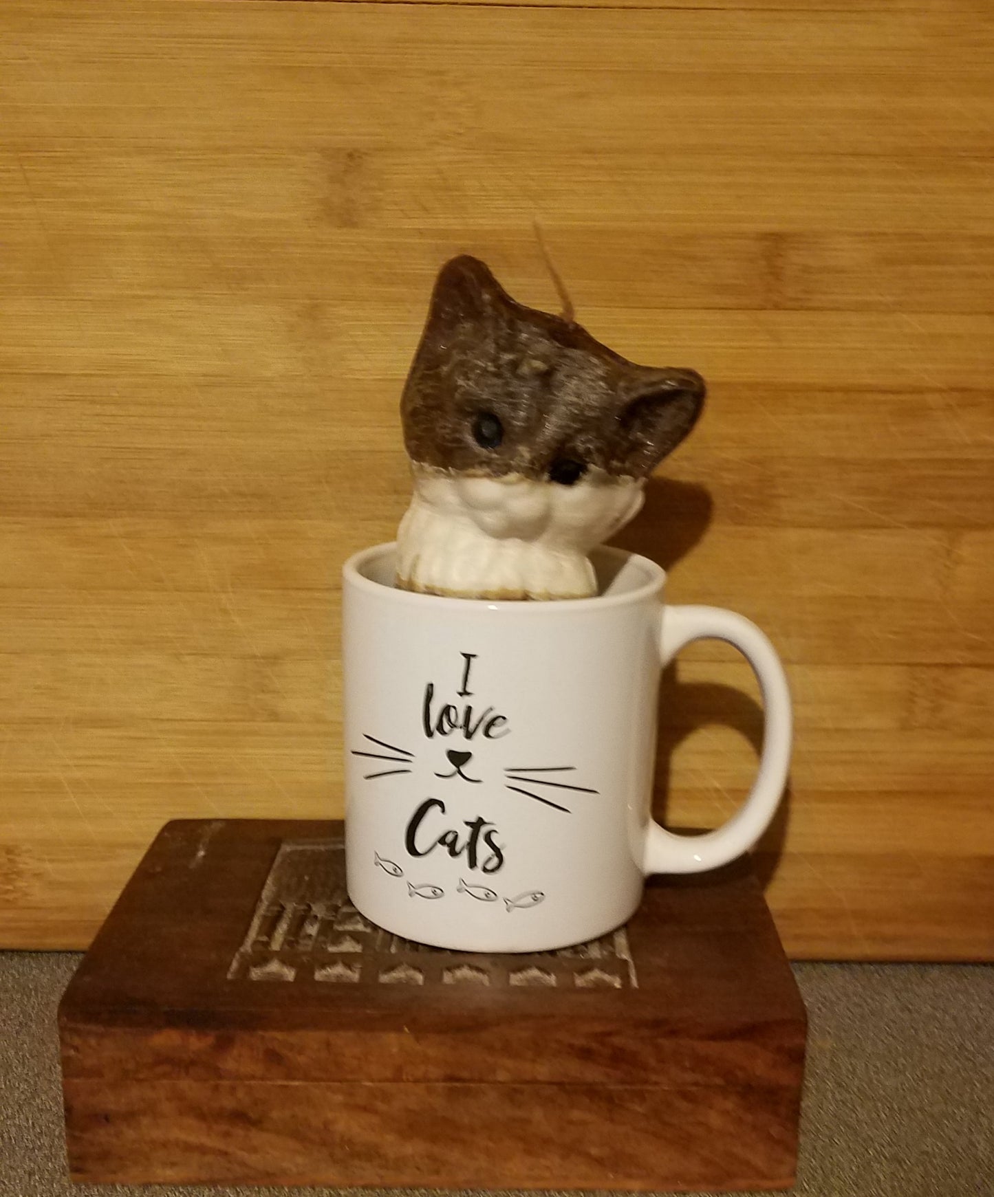 Cat and Kitten Lovers Mixed Cat Breed
